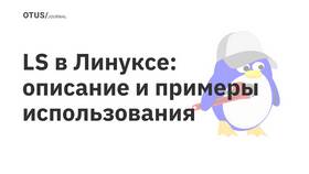 Что выводит команда ls в Linux в Ноу-Хау