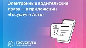 Как оплатить водительское удостоверение через Госуслуги в Ноу-Хау
