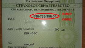 Как выглядит пенсионное страховое свидетельство (СНИЛС) в Ноу-Хау