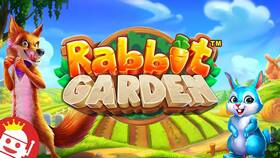 Rabbit Game: вывод денег без депозита в Ноу-Хау