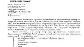УИН в платежном документе на штраф: что это и зачем нужно в Ноу-Хау
