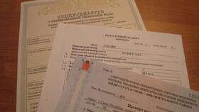 Зачем нужны документы на квартиру в Ноу-Хау