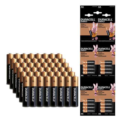 Батарейка Duracell AA (LR6) Big Pack (3*16), 48 шт в Ноу-Хау